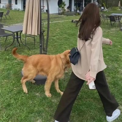 我为太极狂